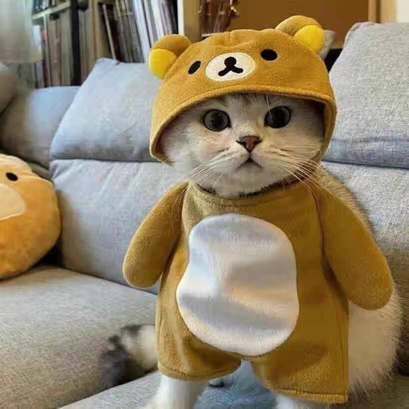 熊大